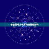 老爸属鸡儿子属狗的属相好吗，父子属狗属鸡和不和