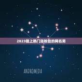 2023能上热门涨粉丝的网名男，2023年最流行网名男