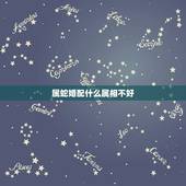 属蛇婚配什么属相不好，属蛇和属猴的婚配好吗