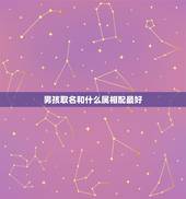 男孩取名和什么属相配最好，男孩取名字！什么字跟文搭配最好