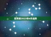 生肖猪2023年6月运势(财运亨通感情顺利)