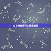 白羊座座跟什么星座最配，白羊座和什么座最配夫妻