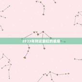 2023年财运最旺的星座，2023年财运最旺的星座视频