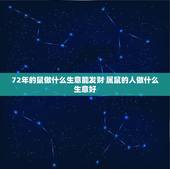 72年的鼠做什么生意能发财 属鼠的人做什么生意好