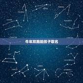 牛年双胞胎孩子取名，属牛取什么名字