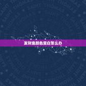 发财鱼颜色变白怎么办，发财鱼身体发白如何处理？