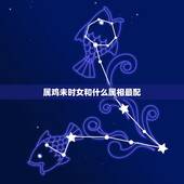 属鸡未时女和什么属相最配，属鸡和什么属相最配