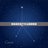 姓高适合生个什么属相宝宝，属马和什么属相不合