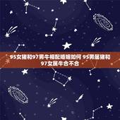 95女猪和97男牛相配婚姻如何 95男属猪和97女属牛合不合