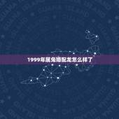 1999年属兔婚配龙怎么样了，99年兔和00年龙配婚姻好不好