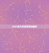 2023年几月的虎命运最好 2023年虎年是什么命
