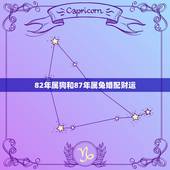 82年属狗和87年属兔婚配财运(如何提升财运)