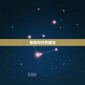 怎样对付天蝎女，天蝎女等你表白的暗示