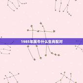 1985年属牛什么生肖配对，85年属牛的女和什么属相配