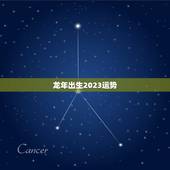 龙年出生2023运势