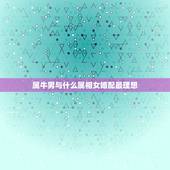 属牛男与什么属相女婚配最理想，男属牛的和什么属相相配最佳 &amp;#8211; ·