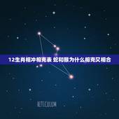 12生肖相冲相克表 蛇和猴为什么相克又相合