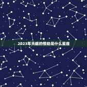 2023年天蝎的情劫是什么星座，2023年天蝎女财运