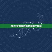 2023金牛座的情劫是哪个星座，2023年5月双鱼座感情劫是哪个星座