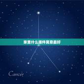 家里什么摆件寓意最好，风水摆件都有什么？家里一般适合什么样的风水摆件