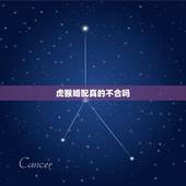 虎猴婚配真的不合吗？常见的几种错误的合婚方法