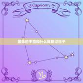 属兔的不能和什么属相过日子，属兔的人今年忌什么属相