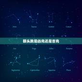 额头跳是凶兆还是吉兆，印堂老是跳什么就是