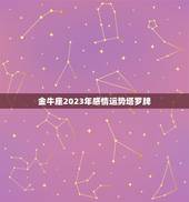 金牛座2023年感情运势塔罗牌，金牛座运势2023年运势详解