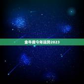 金牛座今年运势2023，金牛座2023年的全年运势