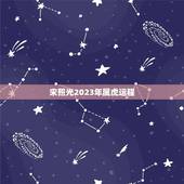 宋照光2023年属虎运程，宋韶光2023运程每月运势