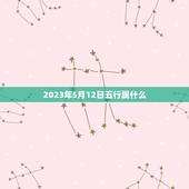 2023年5月12日五行属什么(介绍五行属相掌握运势趋势)