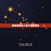 属相是狗的人是不是很费钱，属狗的人的性格是什么样？