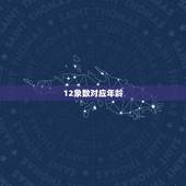12象数对应年龄