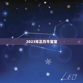 2023年正月牛宝宝，2023年正月二十出生的牛宝宝好吗