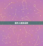 属牛人晚年运势，麦玲玲属牛人2023年运势运程？