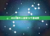 2023属牛人全年12个月运势，2023年牛年运势？