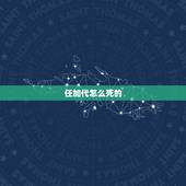 任加代怎么死的，华代版权有限公司怎么样？