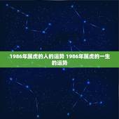 1986年属虎的人的运势 1986年属虎的一生的运势