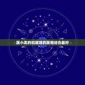 属小龙的和属啥的属相结合最好，我是属小龙的，找个什么属相的跟我结婚最合