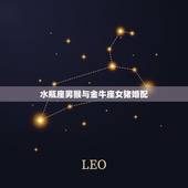 水瓶座男猴与金牛座女猪婚配，属猪水瓶座与属猴金牛座配吗？