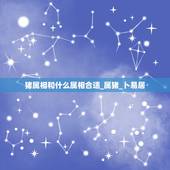 猪属相和什么属相合适_属猪_卜易居，属猪的和什么属相合作最好