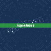 真正的免费起名字，起名字大全免费