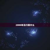 2000年五行属什么，2000年属龙的人是什么命