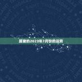 属猪的2023年7月份的运势，2023年属猪运势