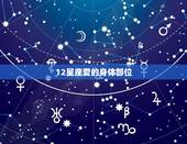 12星座爱的身体部位，十二星座谁的身体