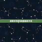 亲情中牛和马的属相合不合，家人中属马的和属牛的合不合