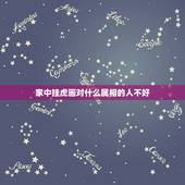 家中挂虎画对什么属相的人不好，请问墙上挂虎画有什么风水讲究吗？