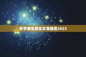 怀孕表生男生女准确度2023，清宫表2023生男生女图准确性是多少