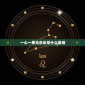 一心一意无杂念是什么属相，一心一意无杂念是什么动物