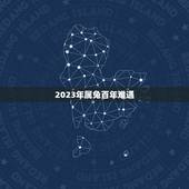 2023年属兔百年难遇 2023年属兔人两喜缠身